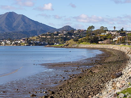 Mount Tamalpais