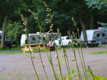 bumble bee rv park and campground mchenry