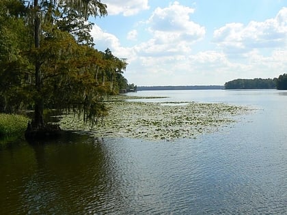 lake talquin state forest tallahassee