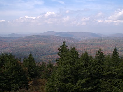 Montes de Allegheny