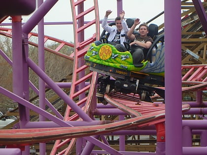 spider roller coaster farmington