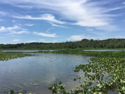 jug bay wetlands sanctuary