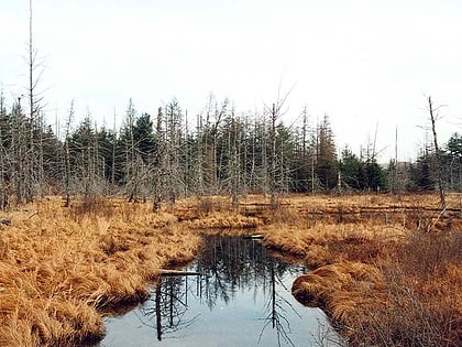 five ponds wilderness area