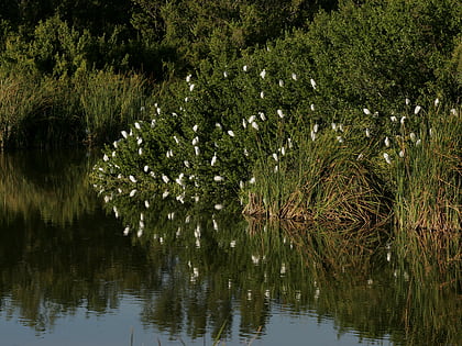 Everglades & Dry Tortugas Biosphere Reserve