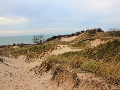 Warren Dunes State Park