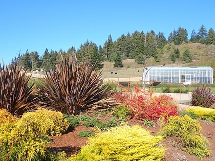 Jardín botánico Humboldt