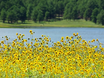 lake mary coconino national forest