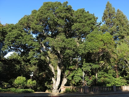 live oak park berkeley