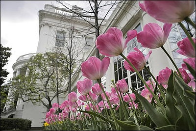 jacqueline kennedy garden waszyngton