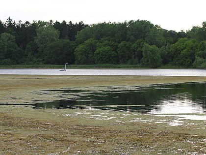 wirth lake mineapolis