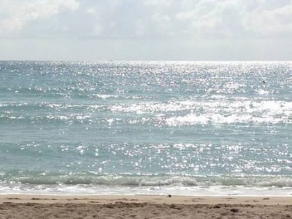 she sells sea shells sanibel sanibel island