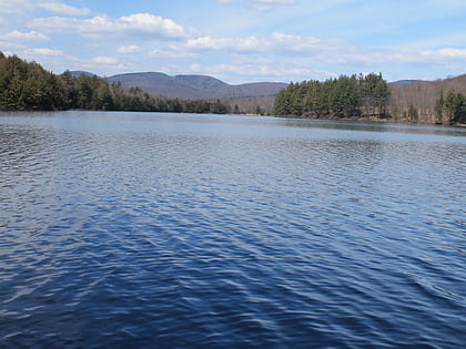 Woods Lake