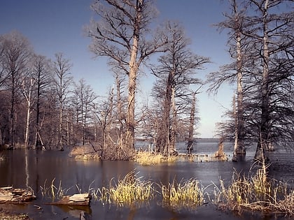 Park Stanowy Reelfoot Lake