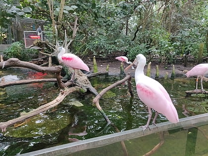 acuario de la florida tampa