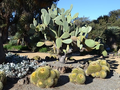 arizona cactus garden palo alto