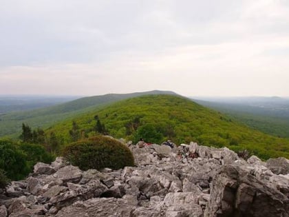 Hawk Mountain Sanctuary Association