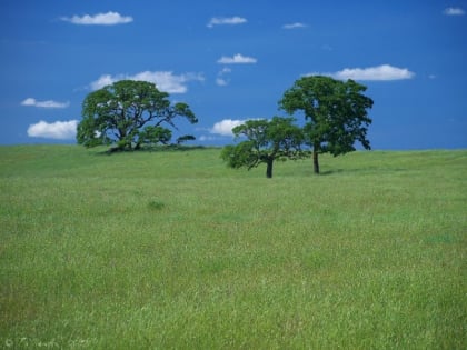 el dorado hills