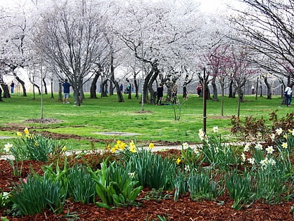 german american friendship garden waszyngton