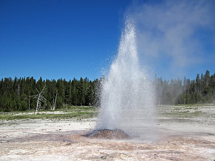 pink cone geyser parc national de yellowstone