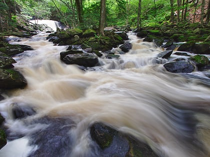 Doane’s Falls