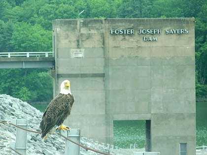 park stanowy bald eagle