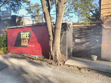 The Tree Bar