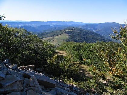 roaring plains west wilderness monongahela national forest