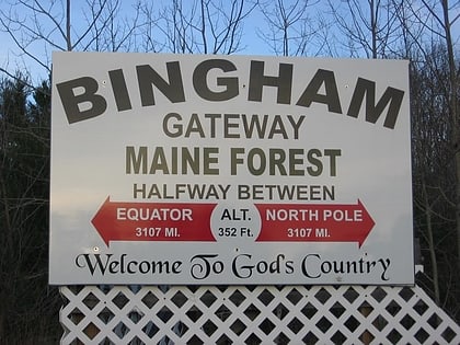 bingham