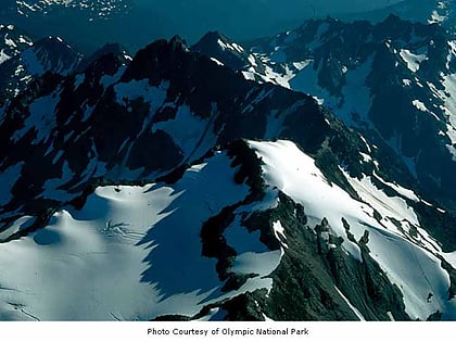 queets glacier parque nacional olympic