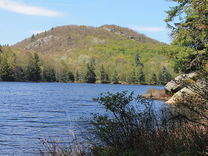 huckleberry mountain