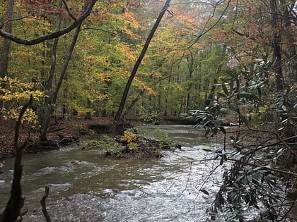 Brush Mountain Wilderness