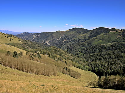 lincoln national forest