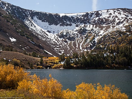 virginia lakes area salvaje hoover