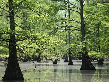 big lake national wildlife refuge