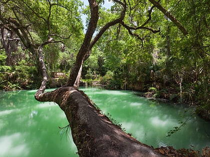 green springs park cassadaga