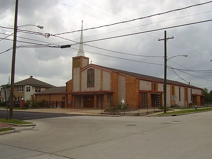 our mother of mercy church houston