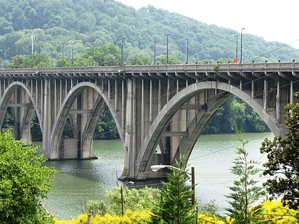 The Henley Bridge