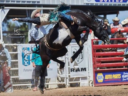 clovis rodeo