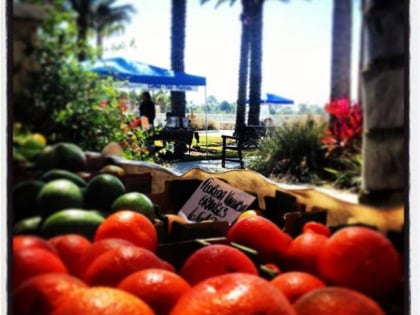 The Pavilion at Port Orange Farmers Market