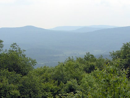 cranberry wilderness foret nationale de monongahela