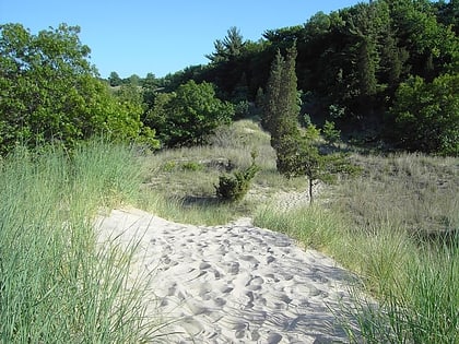 Indiana Dunes State Park