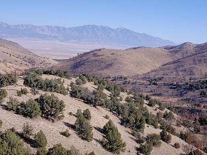 cedar mountain wilderness