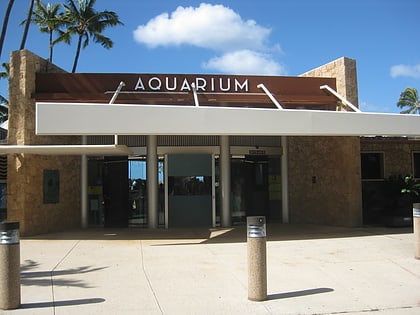 waikiki aquarium honolulu