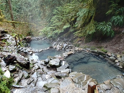 terwilliger hot springs andrews forest