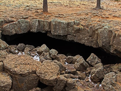 mammoth cave foret nationale de dixie