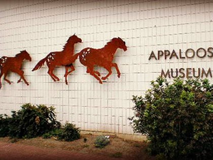 appaloosa horse museum moscow
