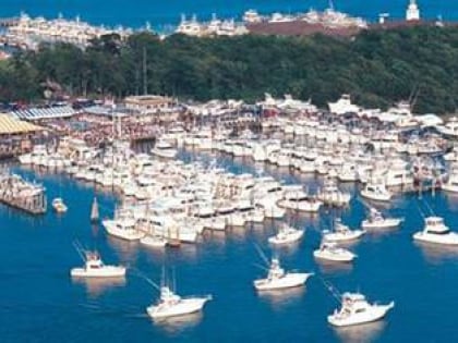 star island yacht club montauk