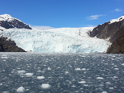 holgate gletscher kenai fjords nationalpark