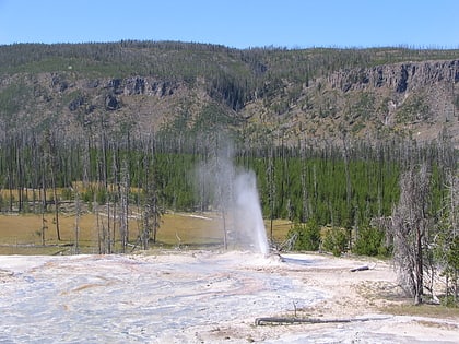 atomizer geyser yellowstone national park