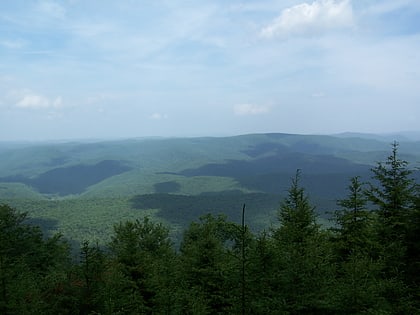 Shavers Fork Mountain Complex